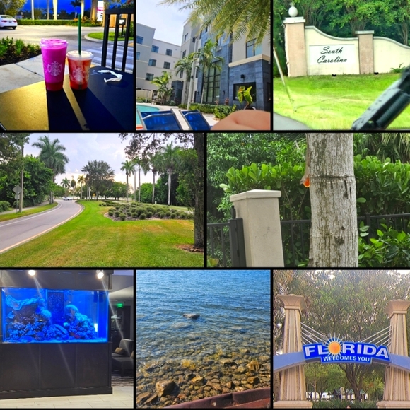 Meet your Posher, Alexandra - Picture 1 of 1